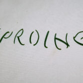  Sproing Pics (125/125)